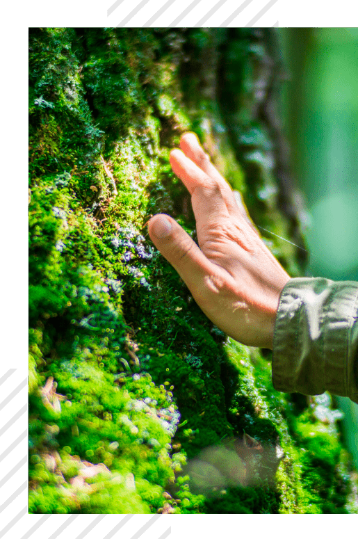 WE CARE ABOUT NATURE